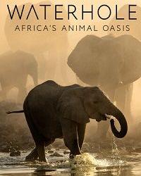 BBC. Водопой: Африканский Оазис для Животных (2020) смотреть онлайн